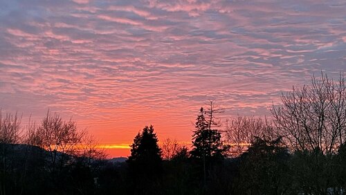 Jahresabschluss image-18807