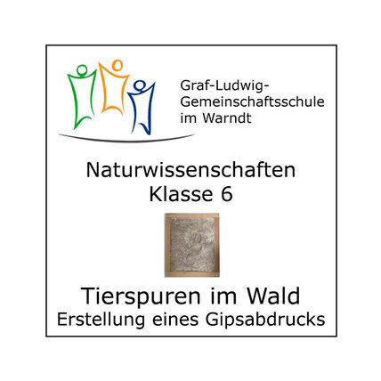 VKW-Tierspuren